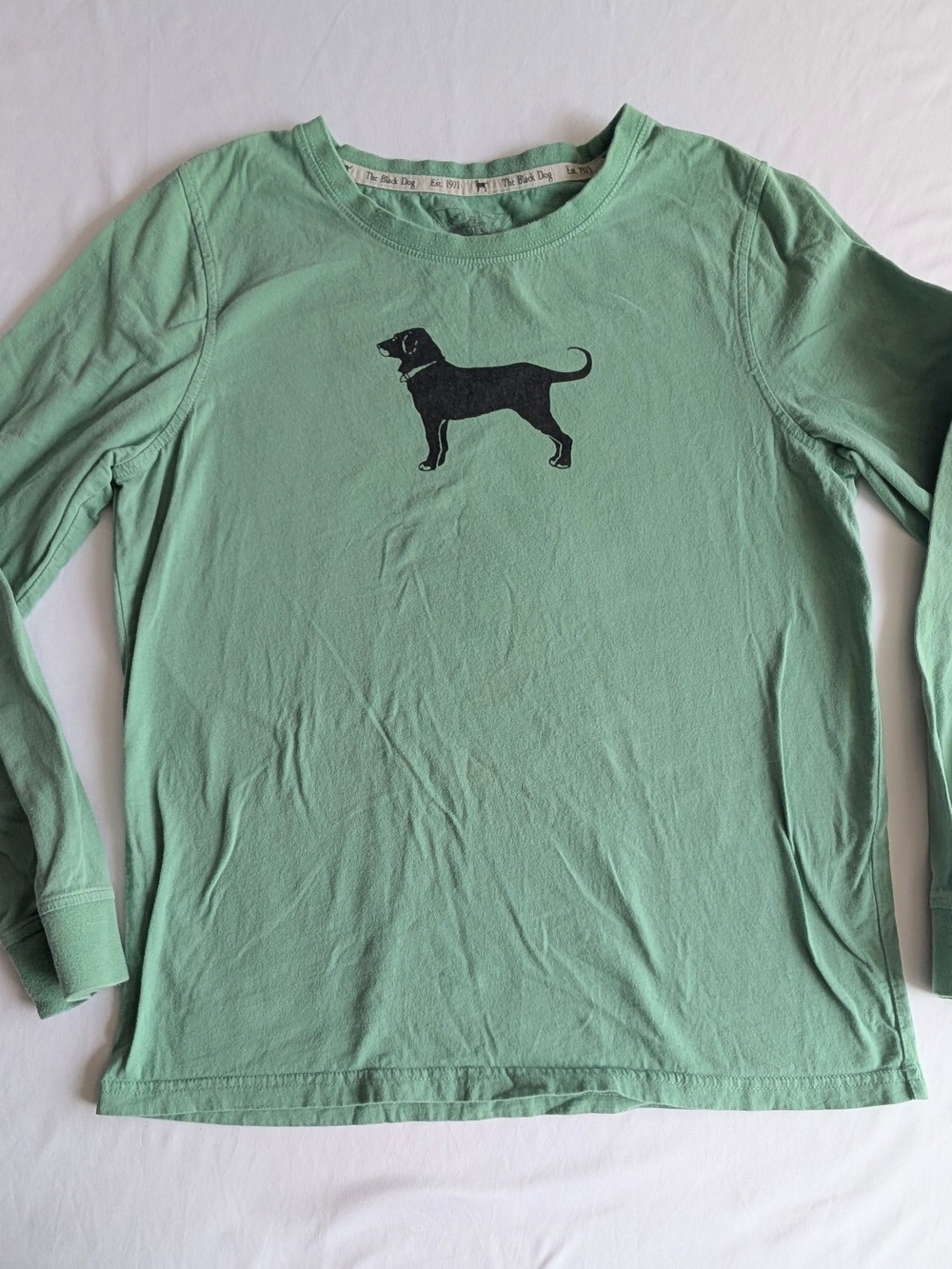 The Black Dog Mint Green Long Sleeve Tee with Black Dog Graphic